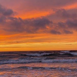 Meet your Posher, Amari